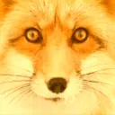 Foxyz
