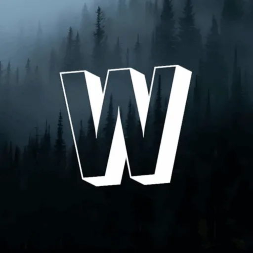 Weisttil — мониторинг Discord сервера, статистика и рейтинг