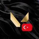 Discovery icon for VALORANT Türkiye Discord server