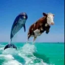 Test server only for testing for servers yee yee 444's icon