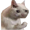 Cz/Sk Komunita Server Icon