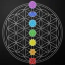 Fruitful🍏Holistics