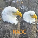 National Arboretum Eagle Cam