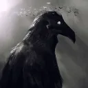 The Corvid Collective