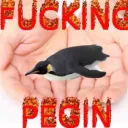 pegin