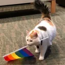 LGBTQ+ safe place's icon