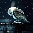 HuraOwl's server