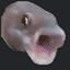 pogfish Discord Server Icon