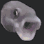 pogfish