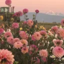 🌺𝔽𝕃𝕆𝕎𝔼ℝ𝕊🌺