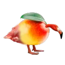 The Joncord