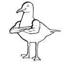 AttainableEnt