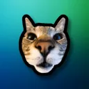 Sammy The Cat Fan Club
