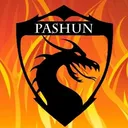 Pashun 11s