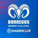 Borregos E-Sports Challenge MADDEN