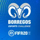 Borregos E-Sports Challenge FIFA