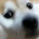 森永の館