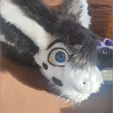 Furry Rat Den