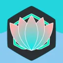 The Lotus Pond