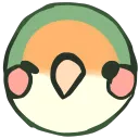 Round Birb Club
