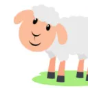 SHEEP Live