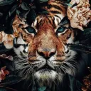 Beautiful Creatures