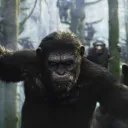 The Big Apes