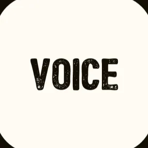VoiceServer — мониторинг Discord сервера, статистика и рейтинг