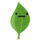 Feuille's server