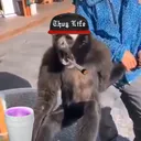 EAT SHIT DIE SLOW