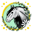 Equestrian Hub