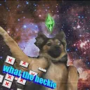 Da zia Sab e dogga Stella