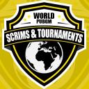 World PUBGM Scrims & Tournaments icon