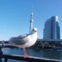 ゲームなど（雑談）