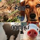 For the Animals!TM Discord Server Icon
