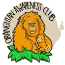 Orangutan Awareness Club