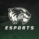 Discovery icon for Utah Valley Esports Discord server