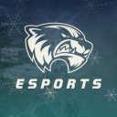 Discovery icon for Utah Valley Esports Discord server