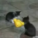 Amigos