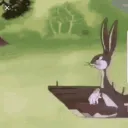 Chungus Clan 🐰🐇