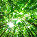 みんなでさぎょー！ Discord server icon