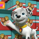 The Paw Patrol Fan Group