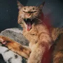 Die flauschige Hölle <3