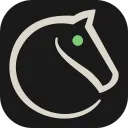 Lichess Bot Support