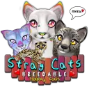 Stray Cats