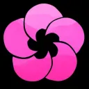 ୨🌸 Sakura no Niwa 🌸୧