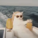 CATBUN Discord Server Icon