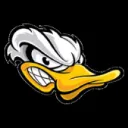 _P4J4_ and Ducks