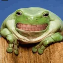 El baúl de Chaski