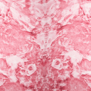 slenderbodies Discord Server Icon